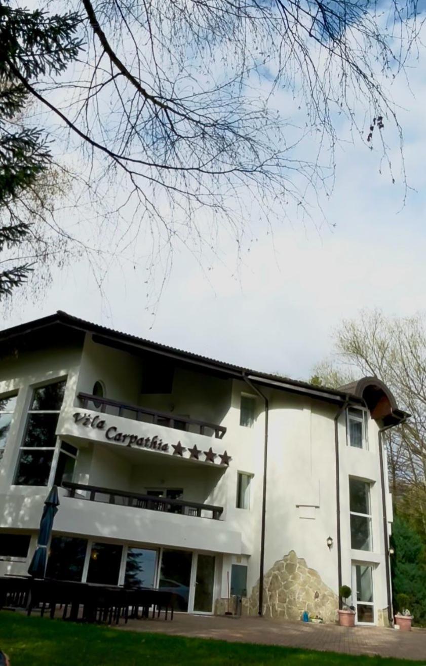 Vila Carpathia Bran  Exteriör bild
