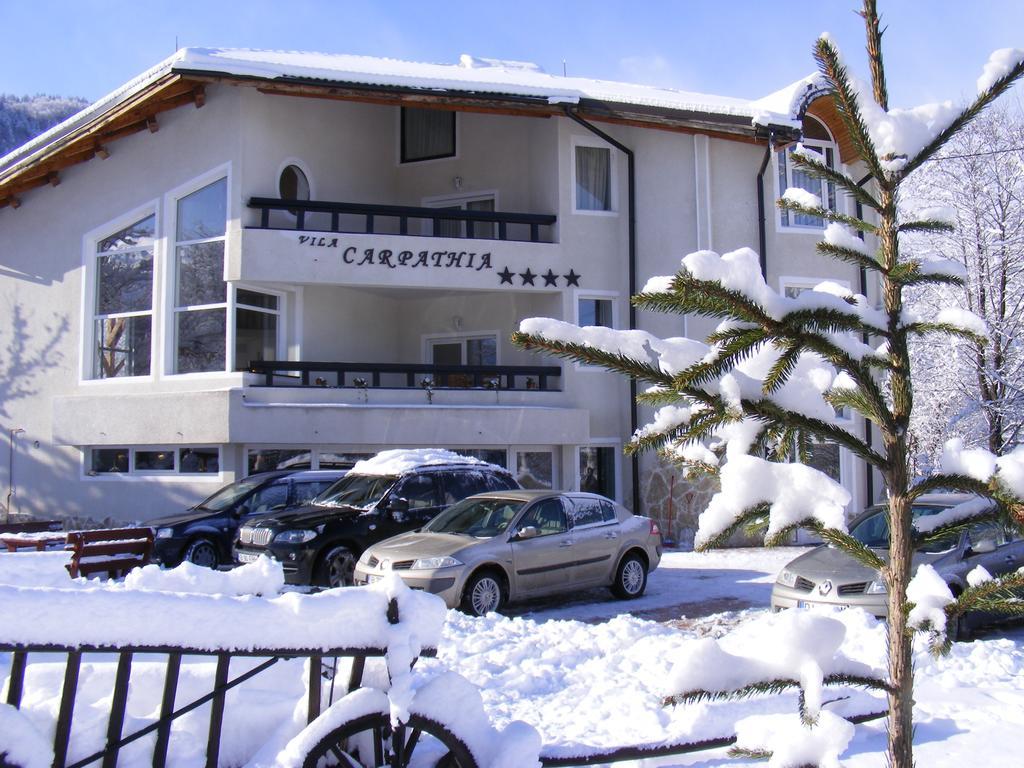 Vila Carpathia Bran  Exteriör bild