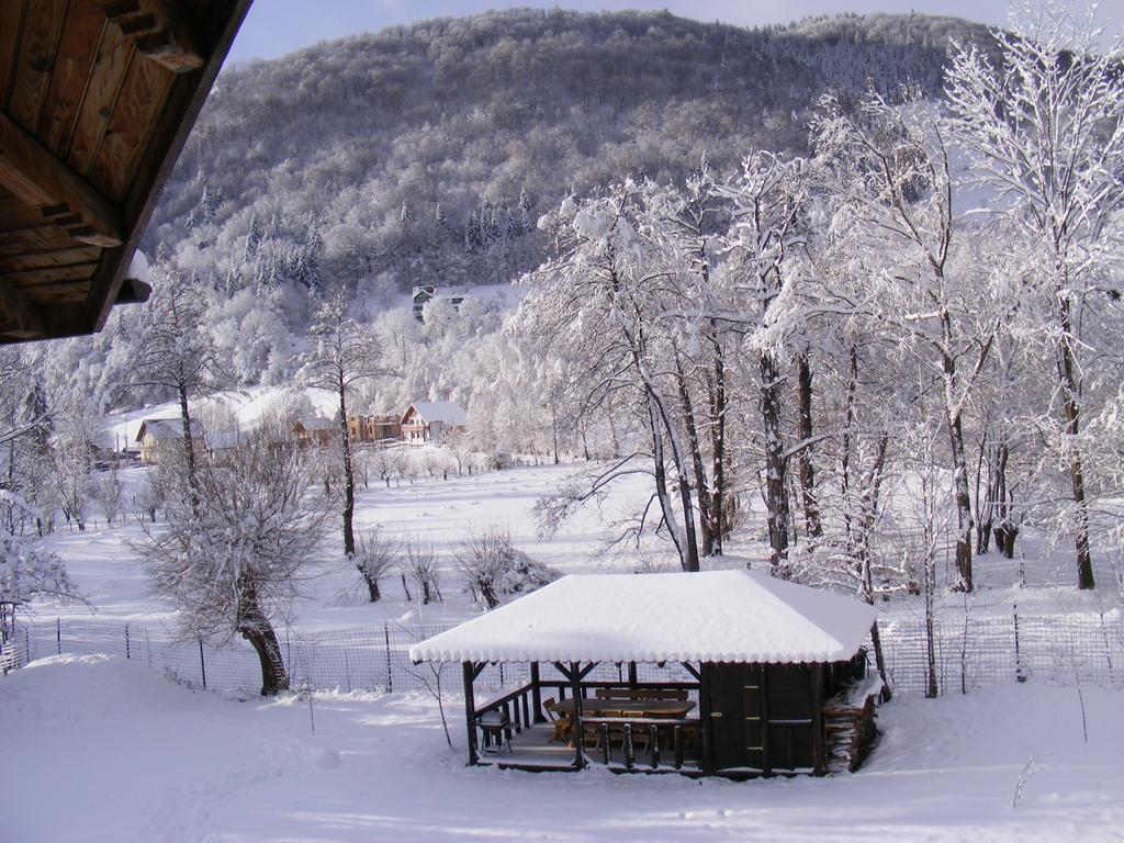 Vila Carpathia Bran  Exteriör bild